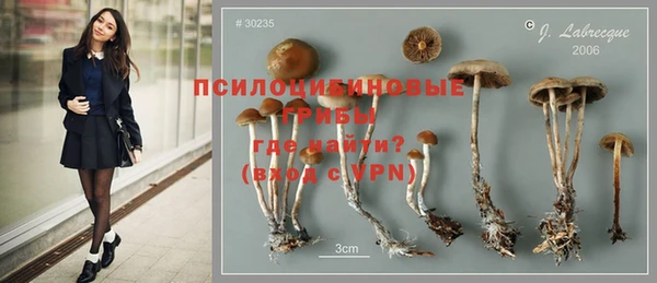 каннабис Майский