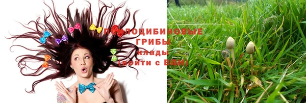 каннабис Майский