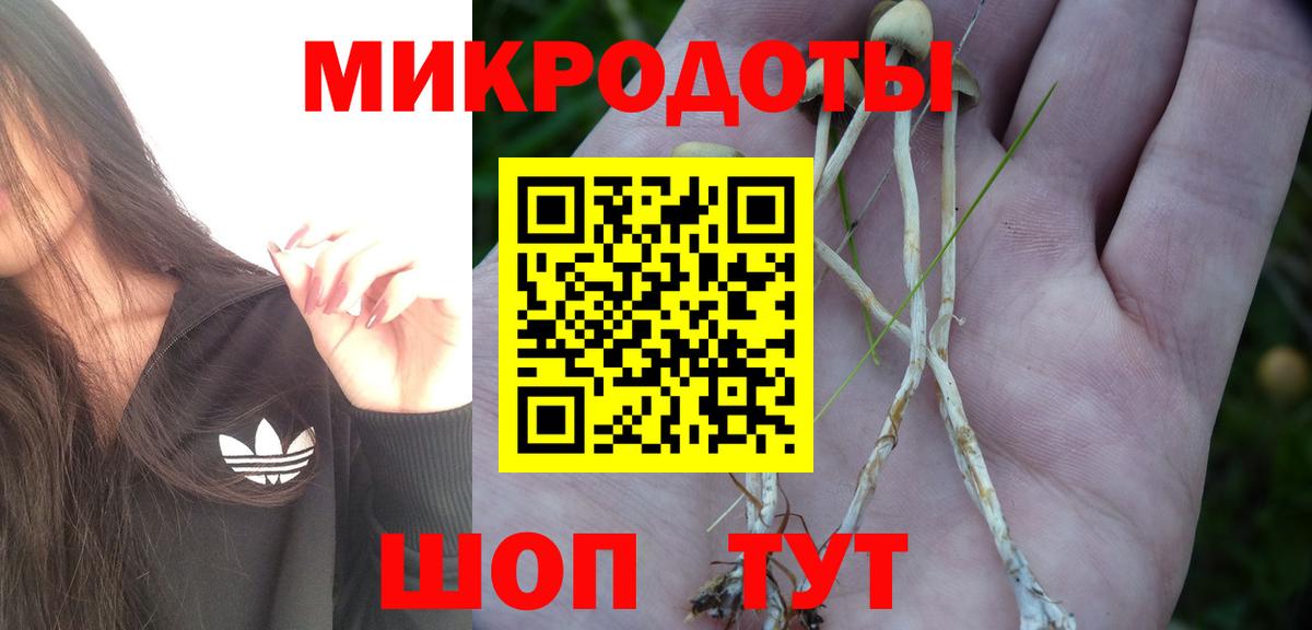 Галлюциногенные грибы MAGIC MUSHROOMS Керчь